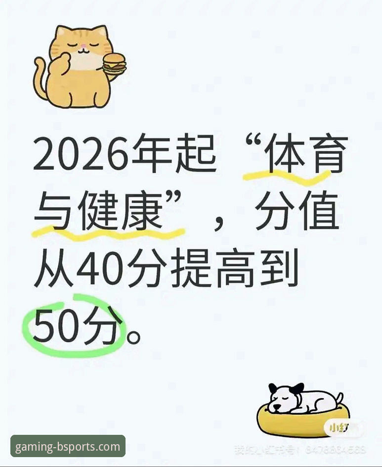 揭秘B体育登录入口2026最新版本：老用户不得不说的几个实用细节
